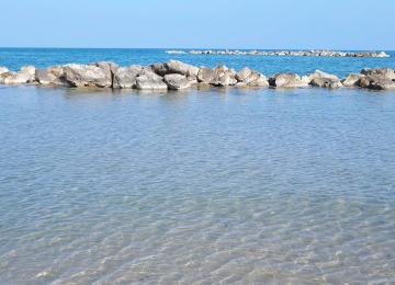 Mare